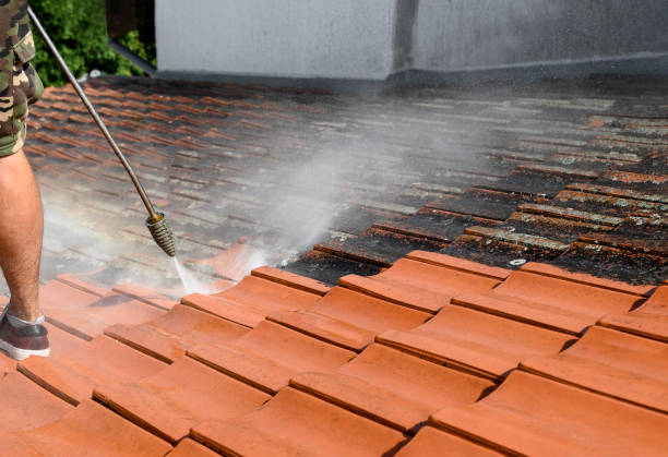Best Pressure Washing Services Near Me  in Cottage Grove, MN
