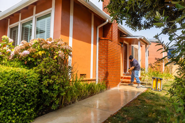 Best Best Pressure Washing Companies  in Cottage Grove, MN
