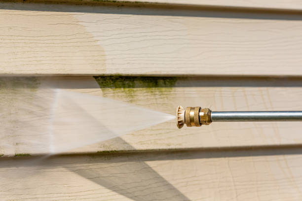 Best Best Pressure Washing Companies  in Cottage Grove, MN