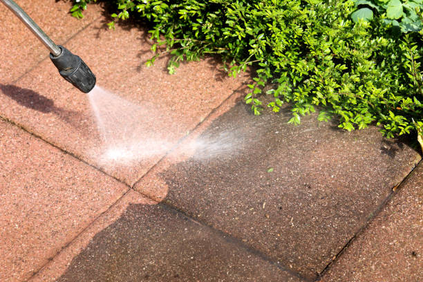 Best Commercial Building Pressure Washing  in Cottage Grove, MN